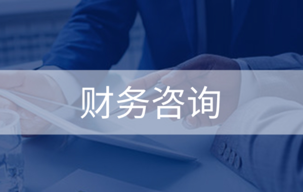 财务业务咨询审计